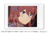 『ウマ娘 シンデレラグレイ』キャラナップコレクション【BOX】
